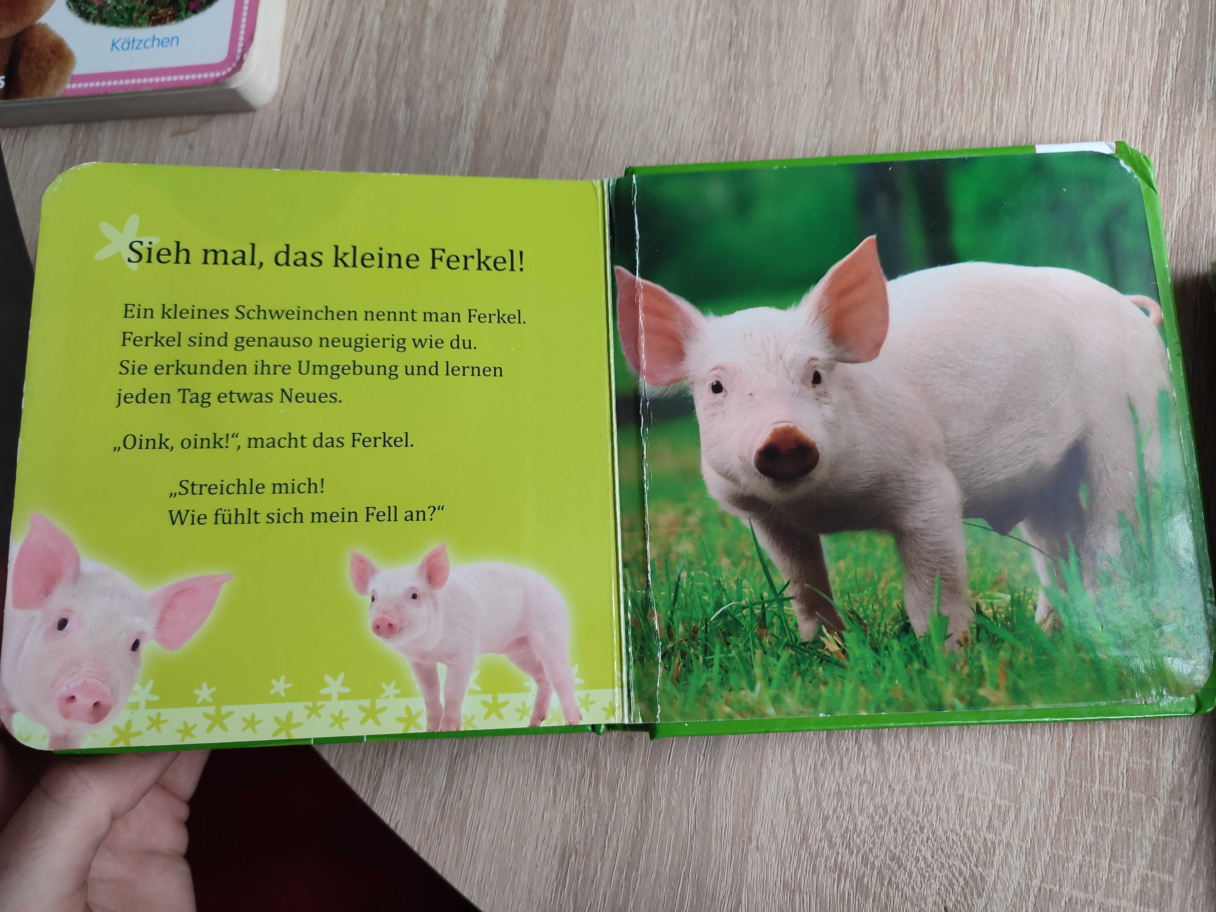 Książki dla najmłodszych, po niemiecku