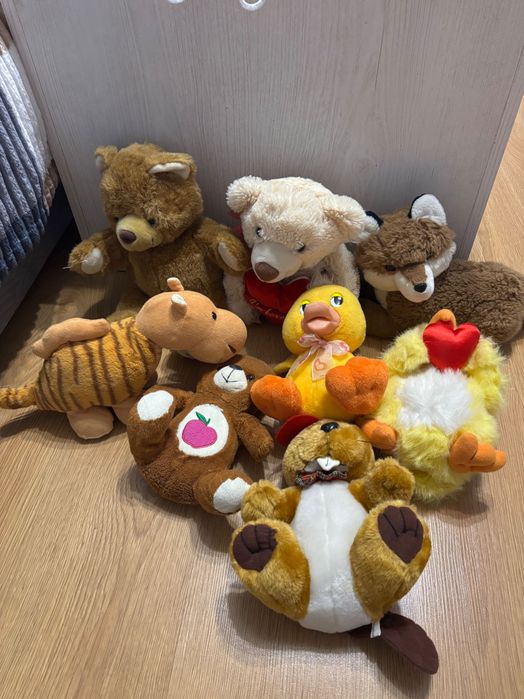 Pluszaki gang swiezakow