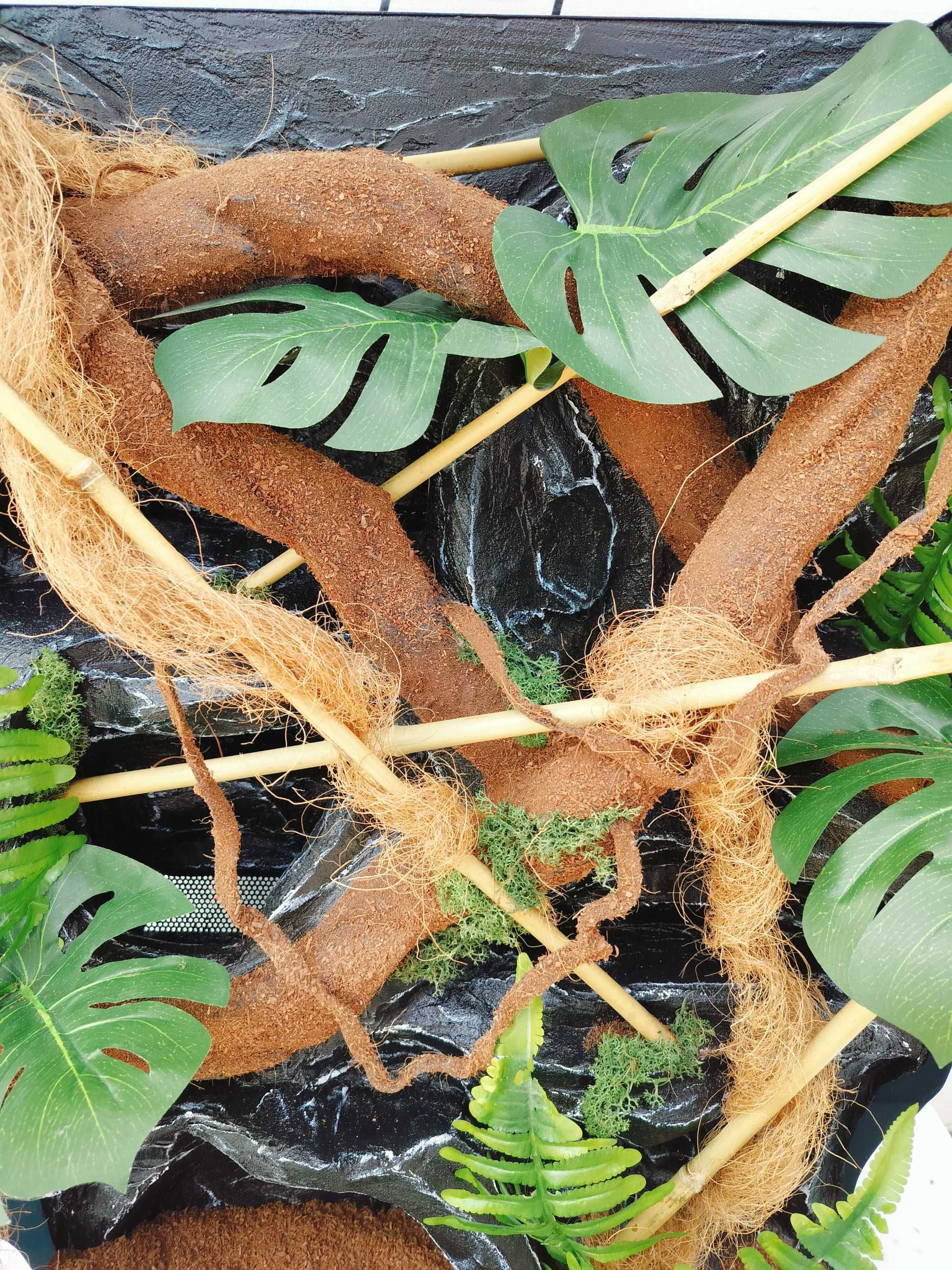 Terrarium tropikalne dla kameleona, felsumy z lampami, AquaWaves