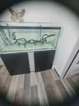 Aquario 150x50x50