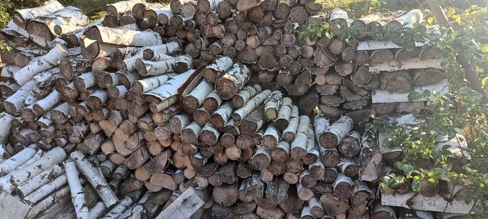 Brzoza drewno opałowe do kominka, do pieca
