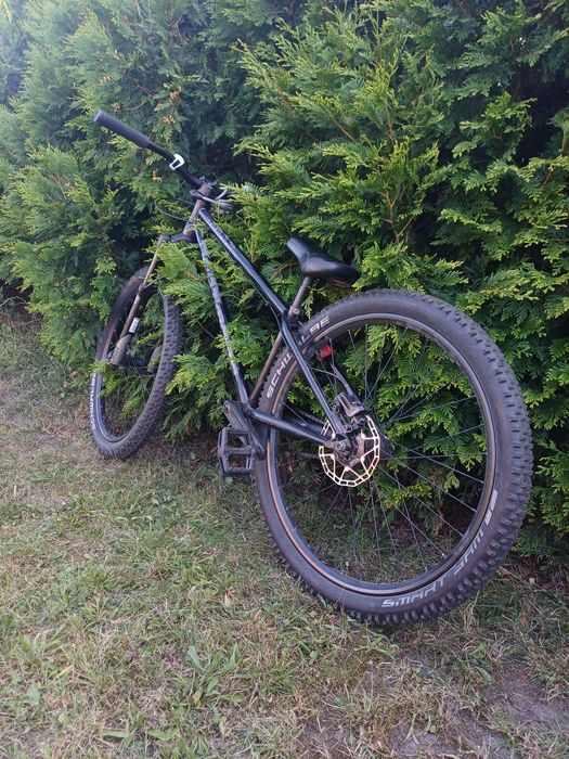 Dartmoor quinnie 2020