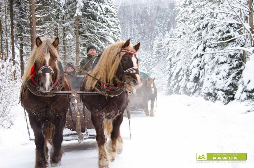Bieszczady -Domki Nad Rozlewiskiem kominek + grzejniki BALIGRÓD