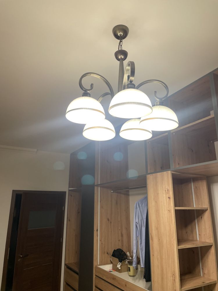 Żylandor bialy z elementami zlotego