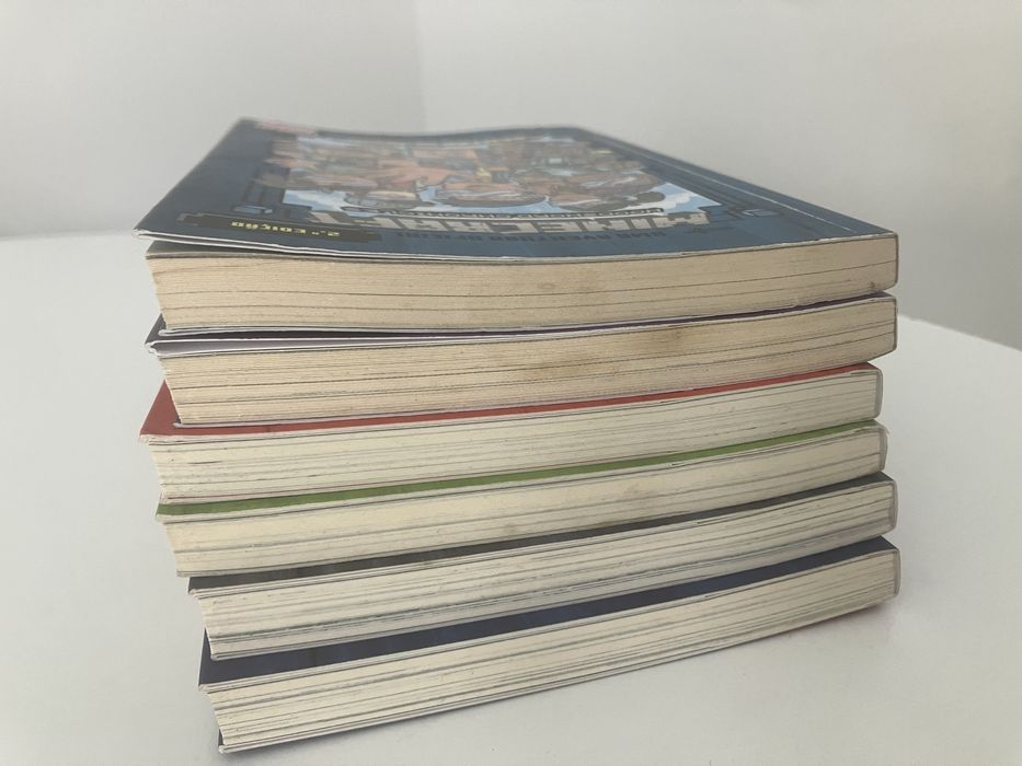 Coleçao Minecraft Woodsword Chronicles