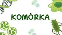 Korepetycje z biologii
