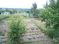 Продам дачу в Чугуевском районе