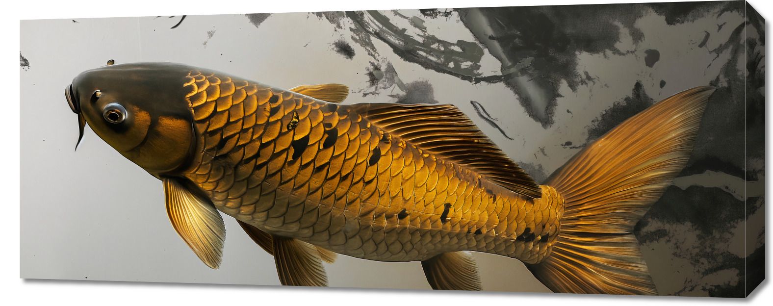 Obraz 100x40cm Spokojna Ryba Koi