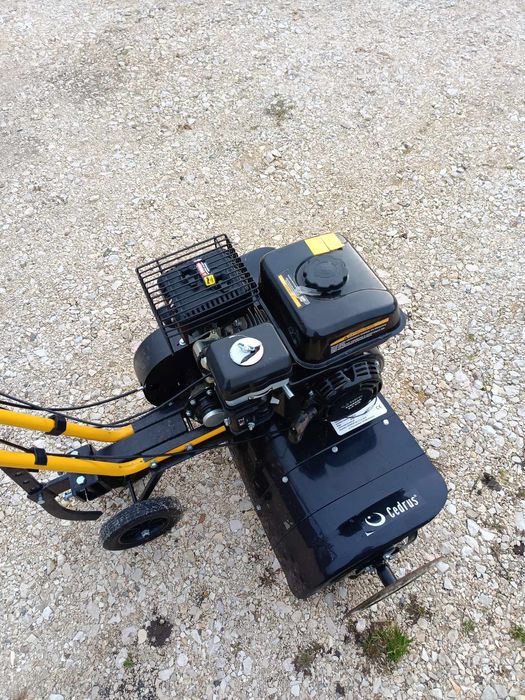 Glebo grzałka cedrus