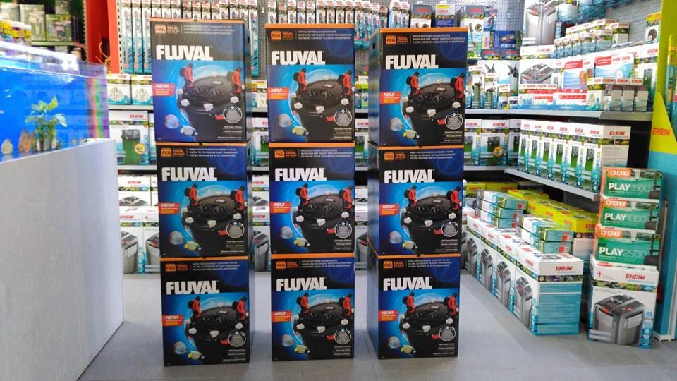 Filtro fluval FX6 novo para aquario