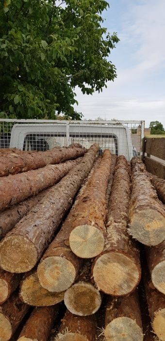 Stemple budowlane kołki paliki bale płot drewno budowa dom ogrodzenie