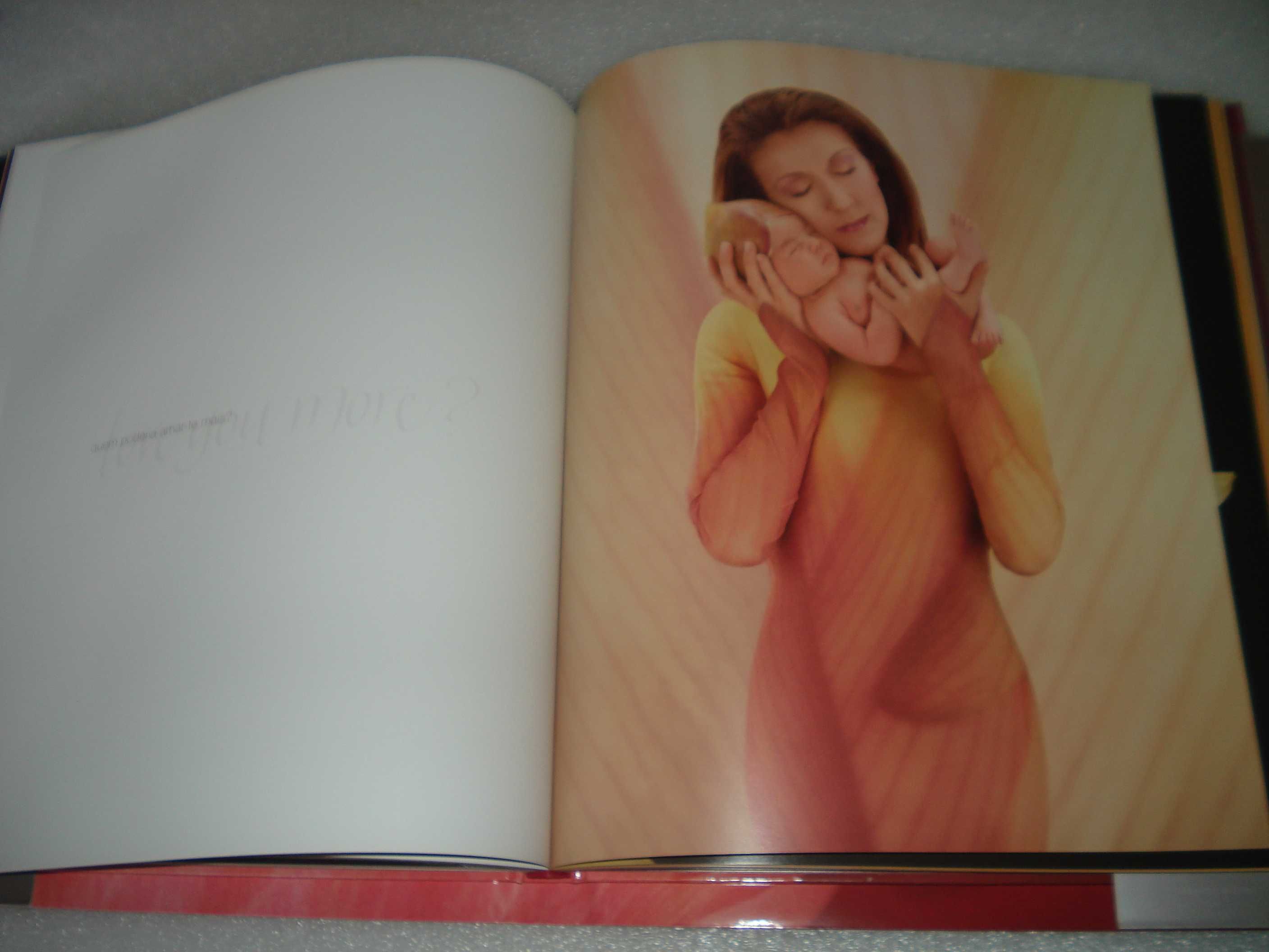 Raro livro de grandes dimensões de Celine Dion - Milagre -2004