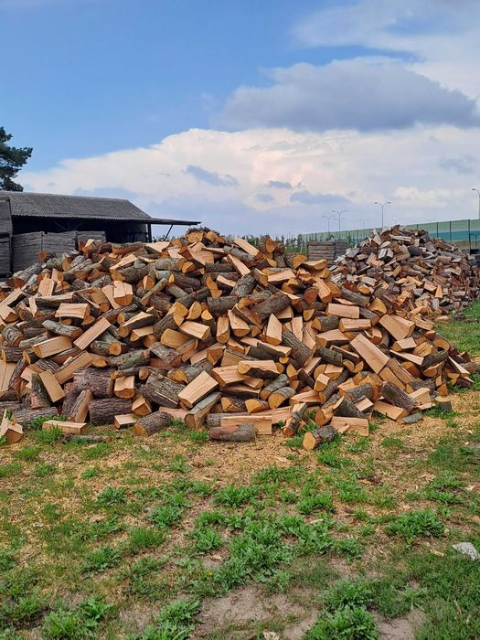Sprzedaż drewna opałowego kominkowego oraz gałęziówka od 150 złotych