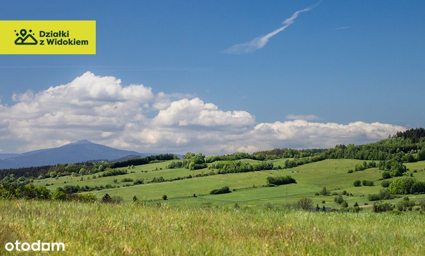 Dębrznik - działka budowlana z WZ, prądem i dojazdem S3