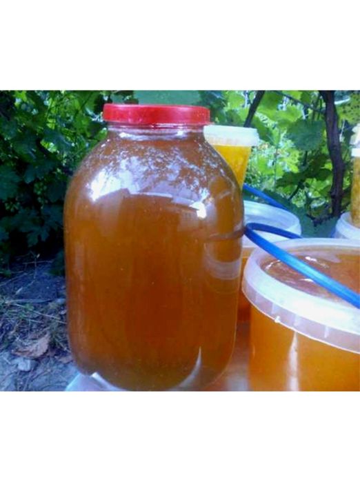 Продам мед натуральний гречаний