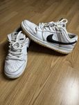 Nike dunk sb gum
