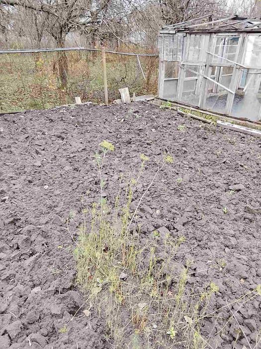 Продам дачу для постійного проживання в  Соколовському масиві.