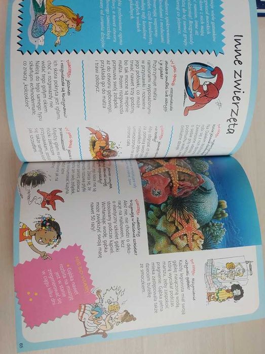 Obrazkowa encyklopedia dla dzieci Morze Odpowiada w jaki sposób