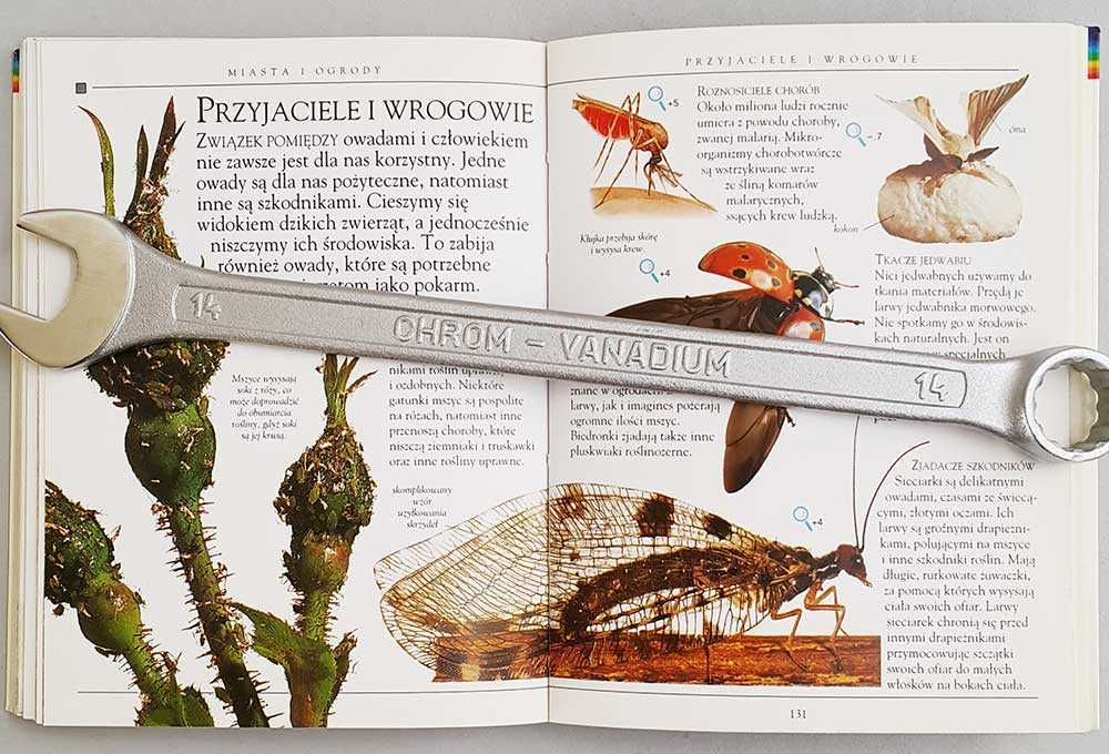 Owady Miniencyklopedia Owady kieszenie pełne wiedzy