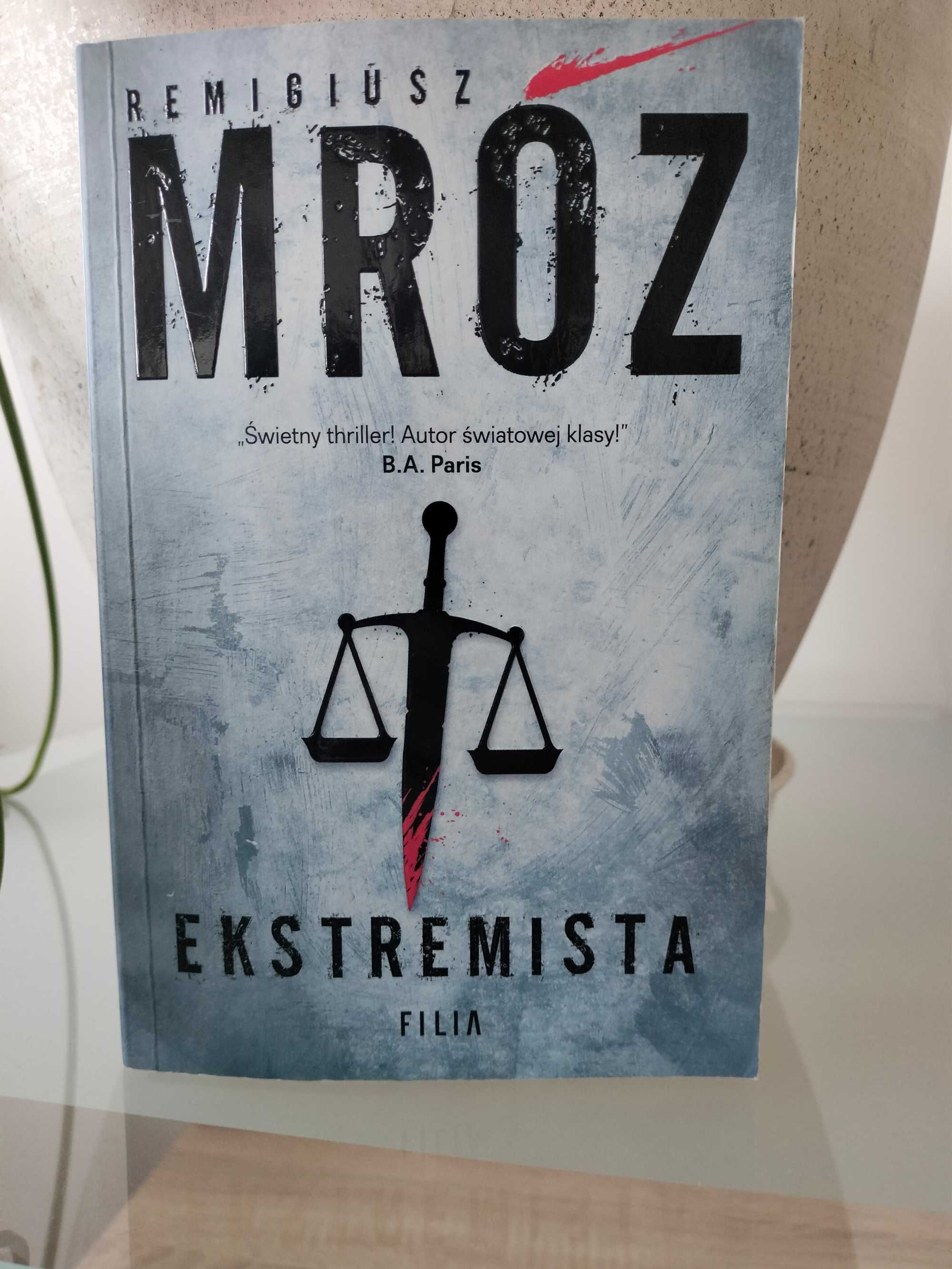 Ekstremista Remigiusz Mróz