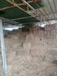 Fardos de palha. 30kg