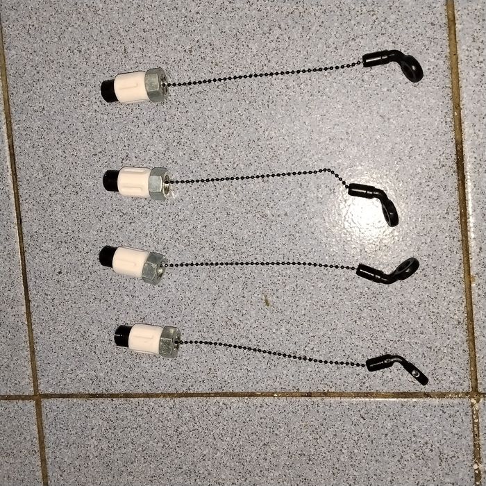 Карпов і свінгера