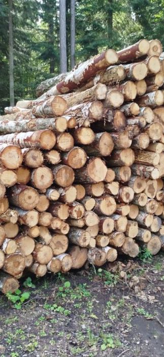 Drewno opałowe ,kominkowe
