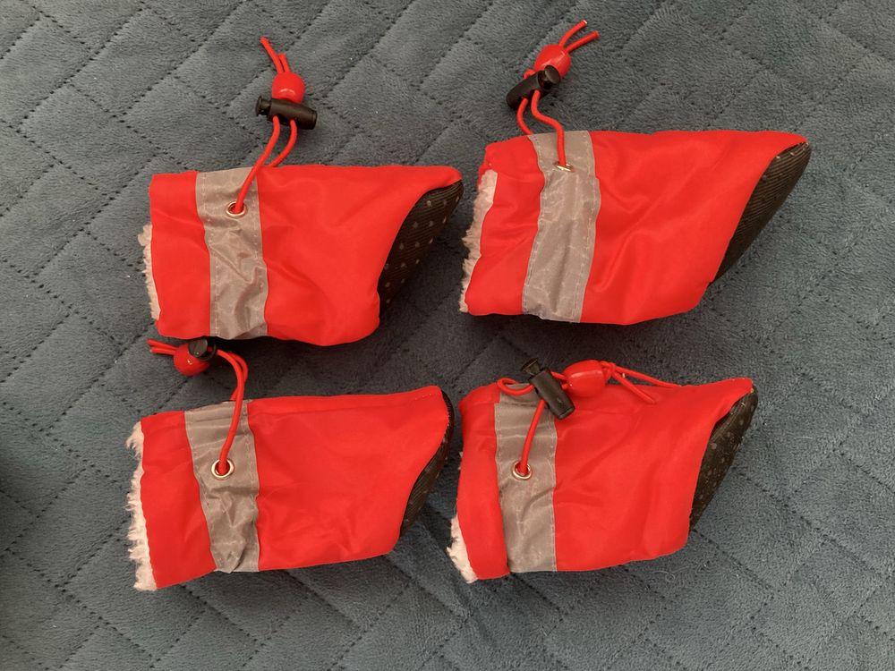 Czerwone buty dla psa rozmiar 5