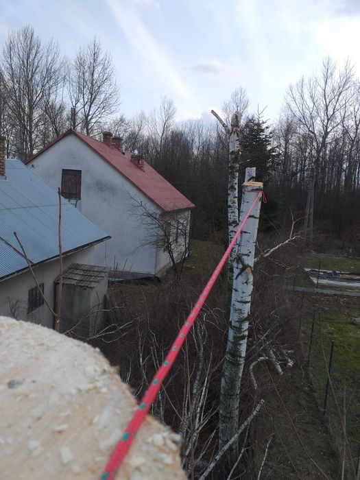 Wycinka trudnych drzew, przycinanie, skracanie, prace porządkowe