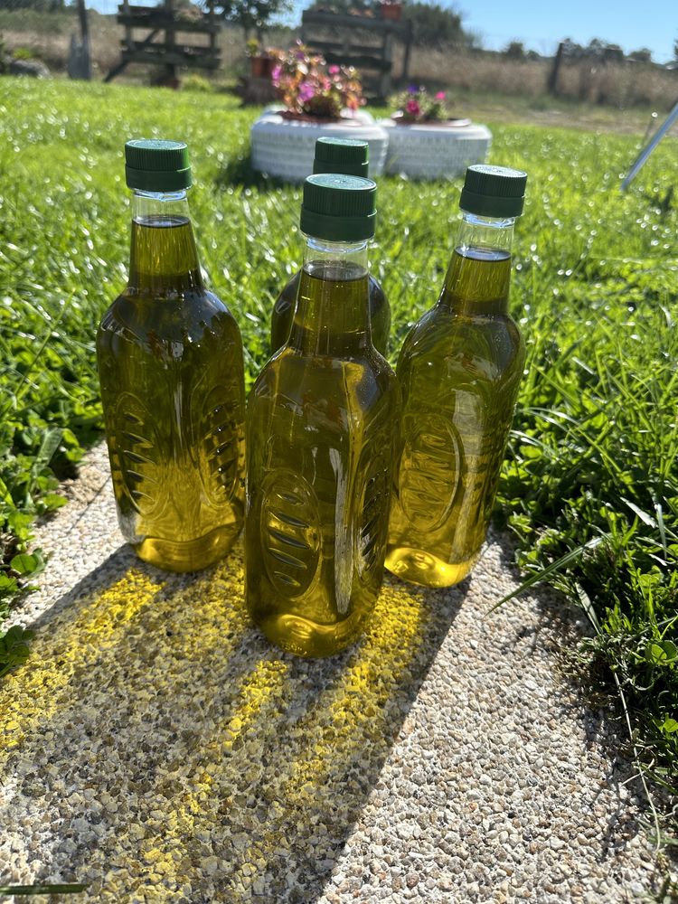 Garrafas Azeite 1L (Para revenda)