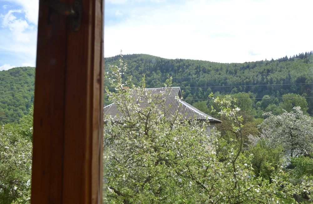 Вiдпочинок у Яремчi