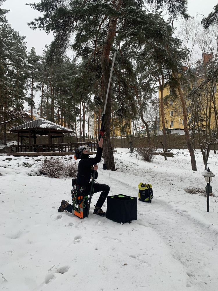 Видалення дерев,Спил деревьев,Кронування,Обрізка саду,Корчування