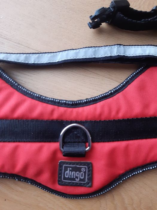 Szelki dla psa Dingo