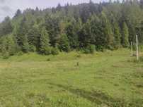 Земельна ділянка с.Ртбник