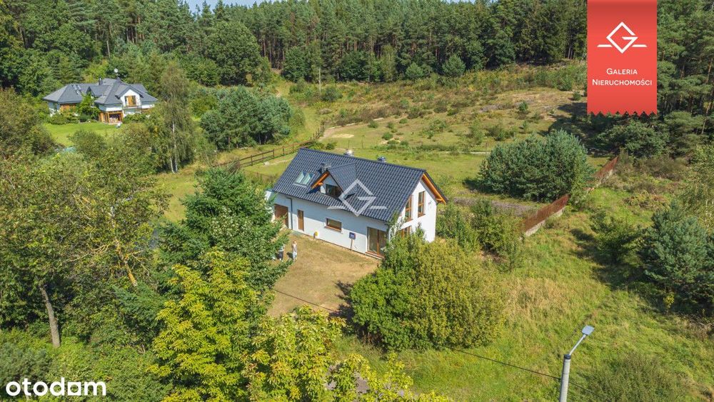 Piękny dom | las w mieście | naturalne oczko wodne