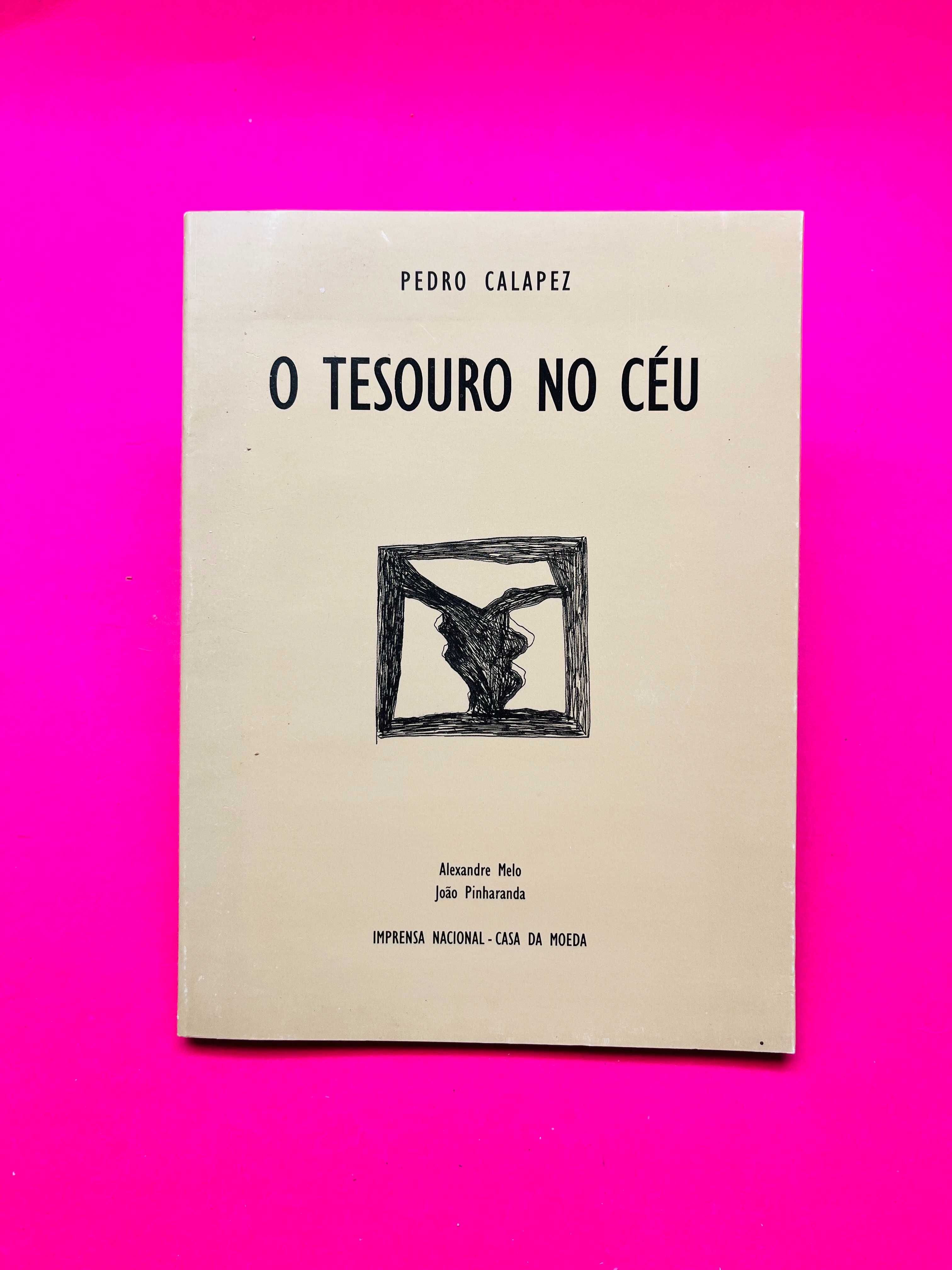 O Tesouro no Céu - Pedro Calapez