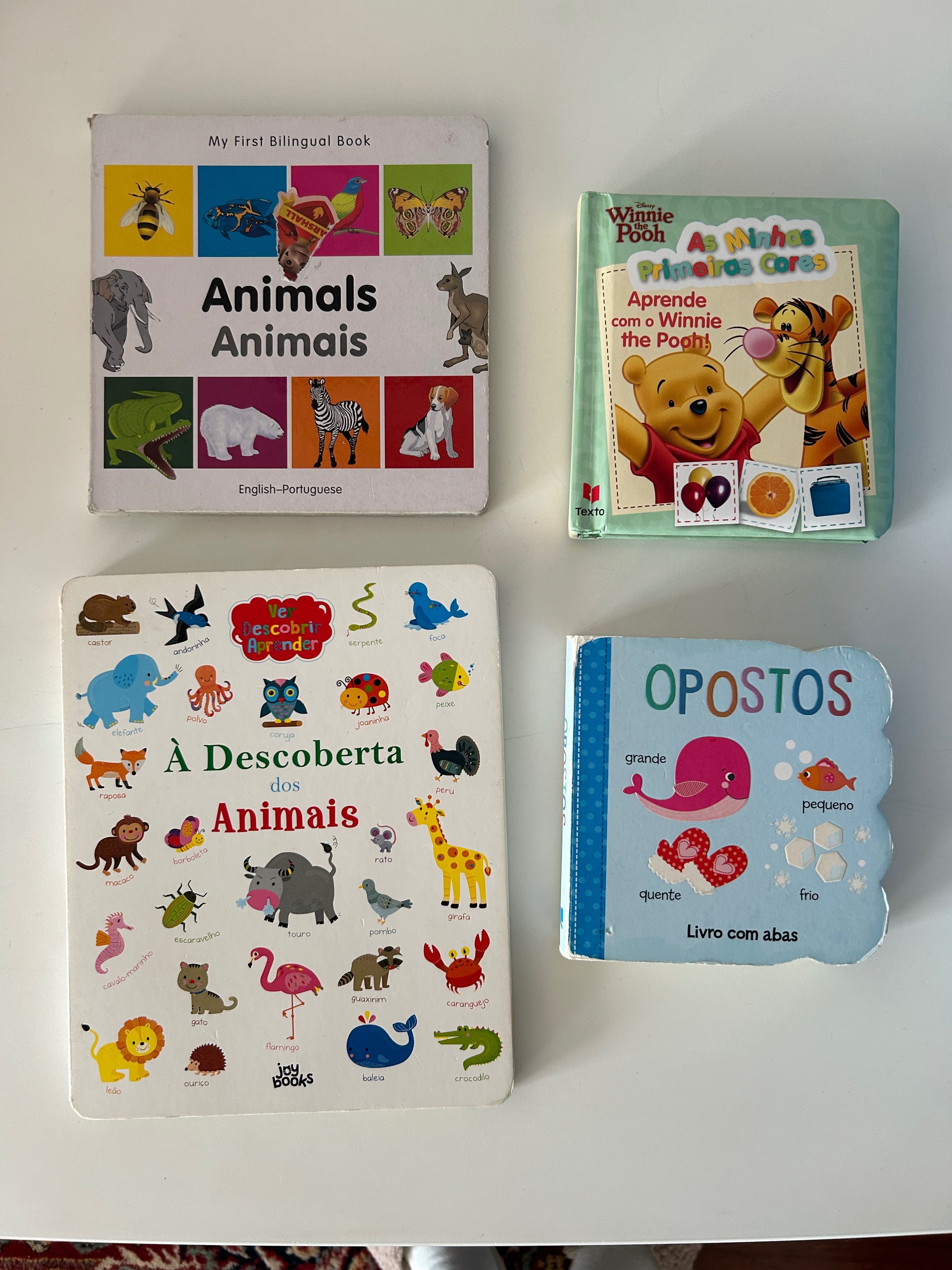Ksiazeczki po portugalsku dla dzieci/livros em portugues