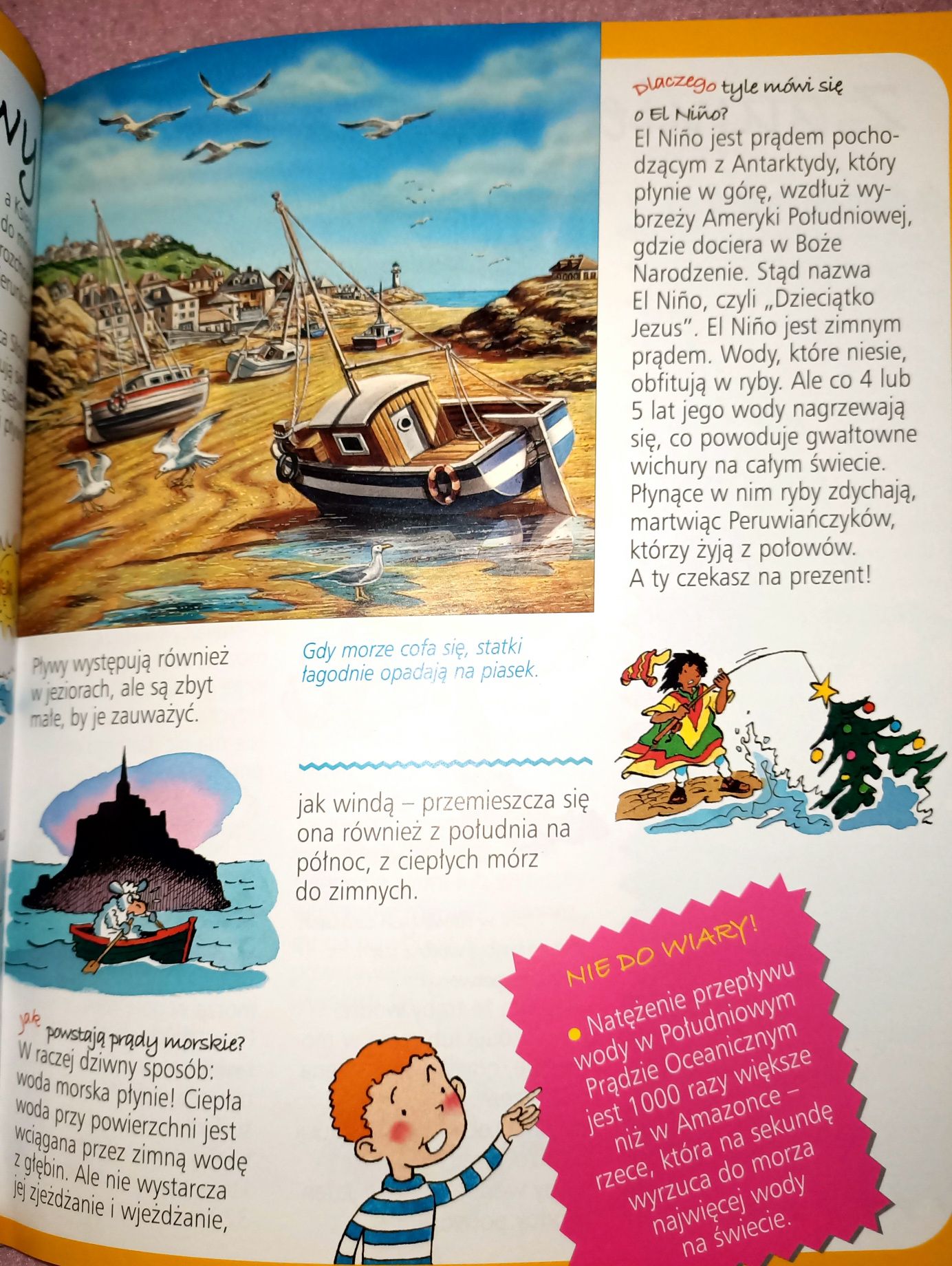 Przyroda Obrazkowa encyklopedia dla dzieci
