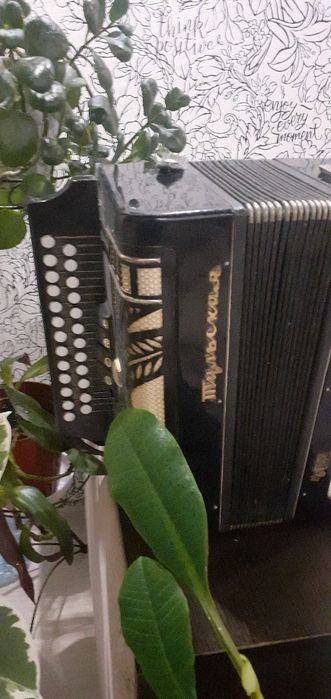 гармошка "Тульская" потрібно настроїти