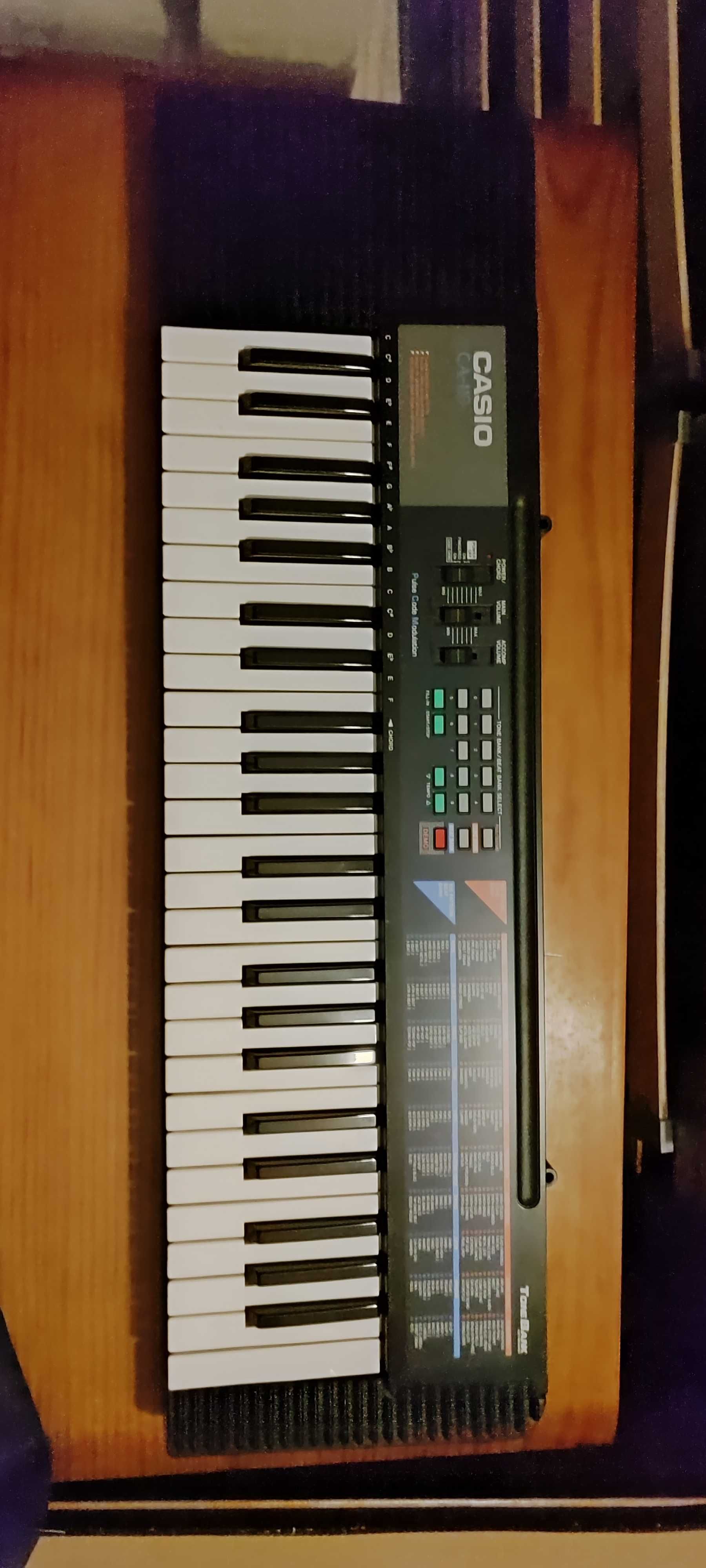 Orgão Casio CA-110