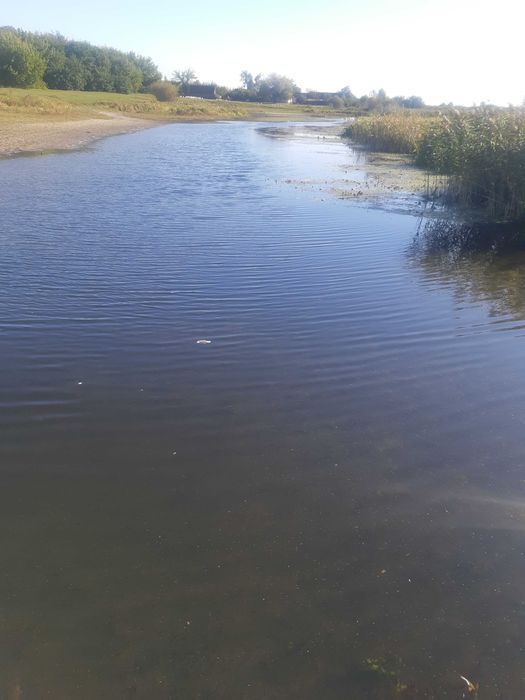 Набір НБУ Мешканці морських глибин