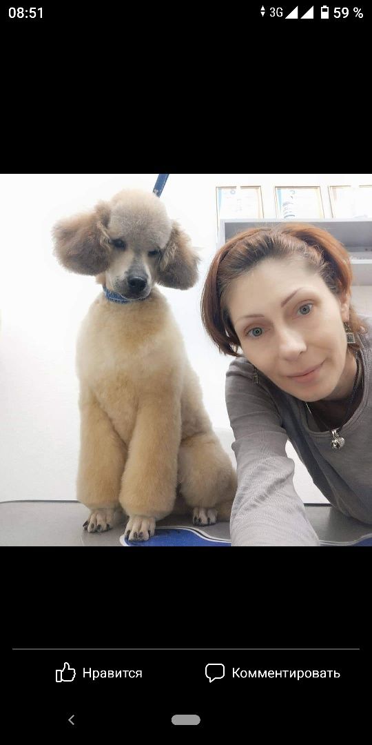 Курсы по стрижке собак и кошек в Харькове