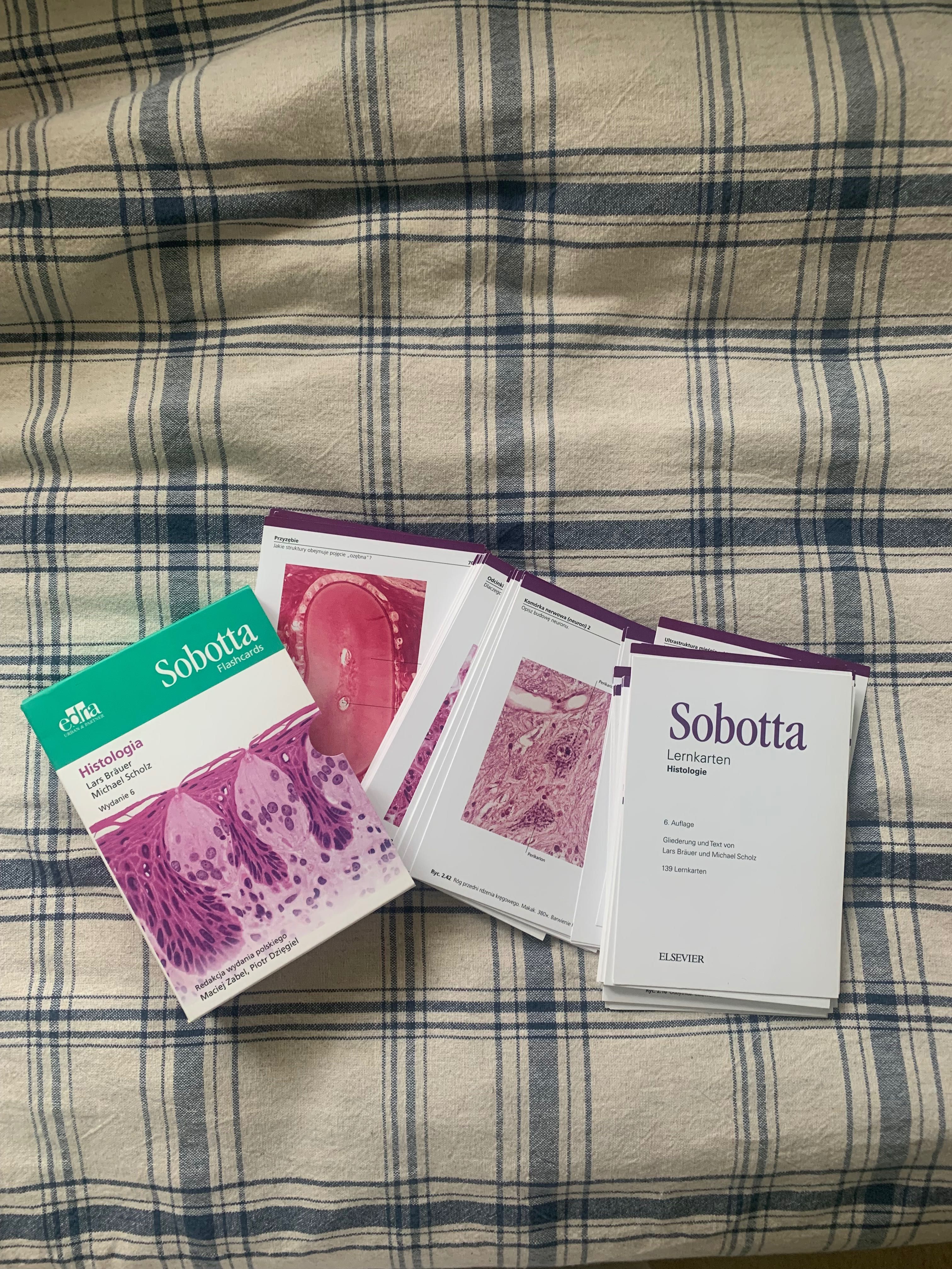 Fiszki Sobotta medycyna Histologia Flashcards