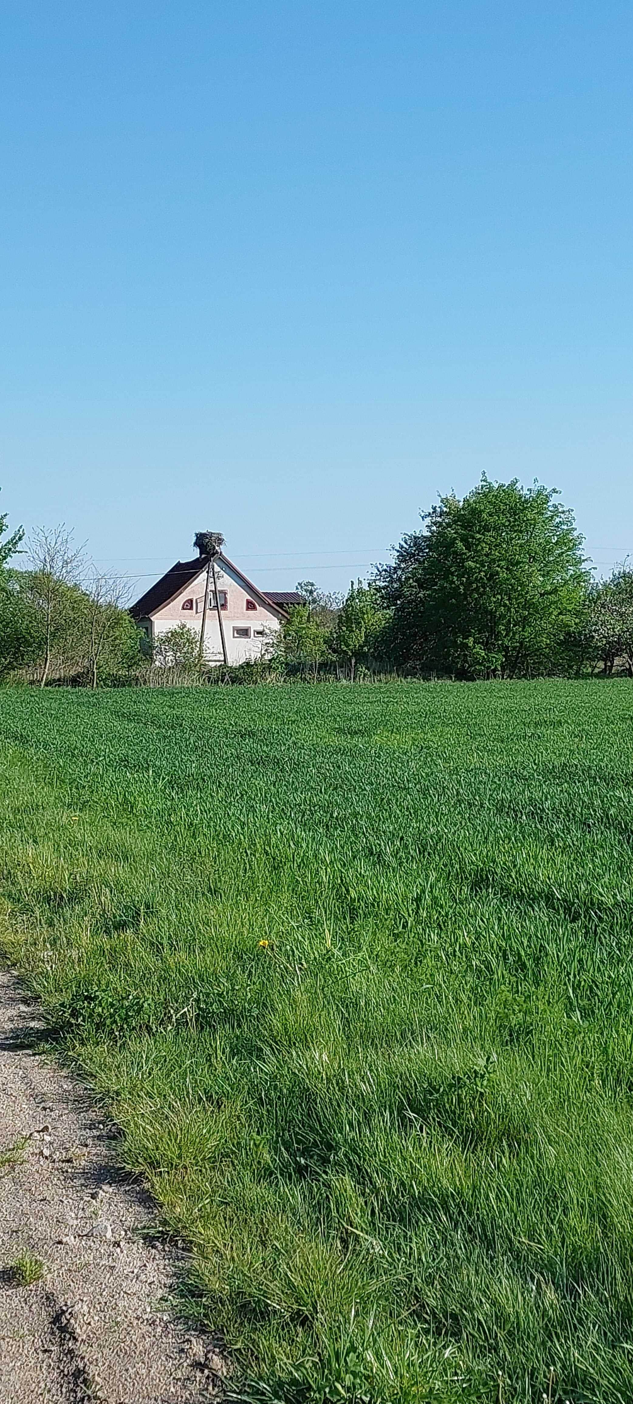 Siedlisko nad jeziorem Ruda woda