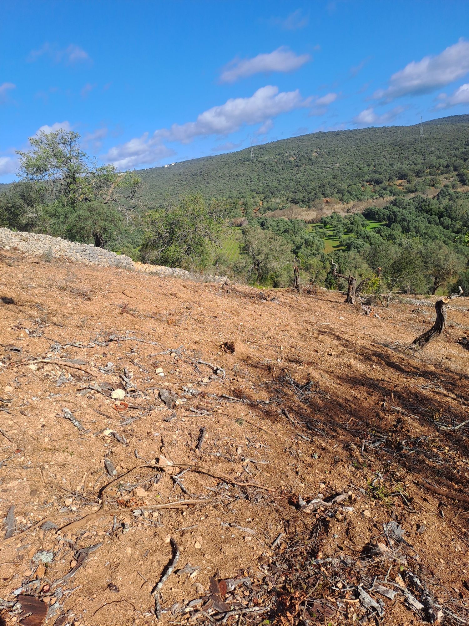 Terreno rustico bem localizado