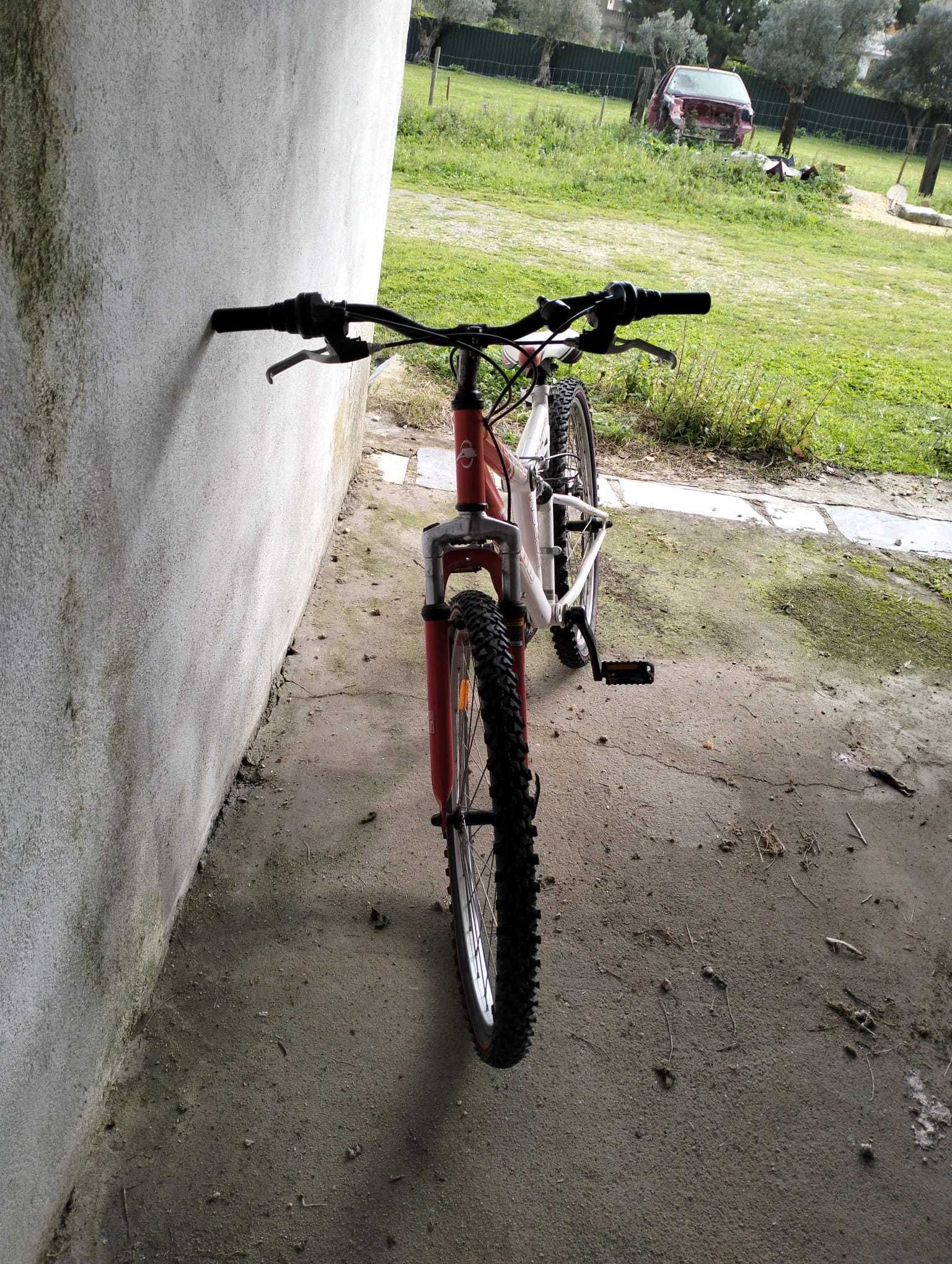 Bicicleta de adulto, como nova.