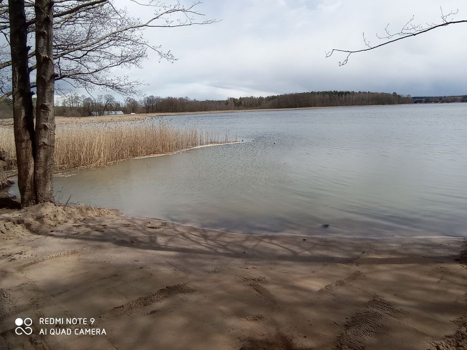 Kopanie stawu prace ziemne koparka long fundamety plaże linię brzegowe