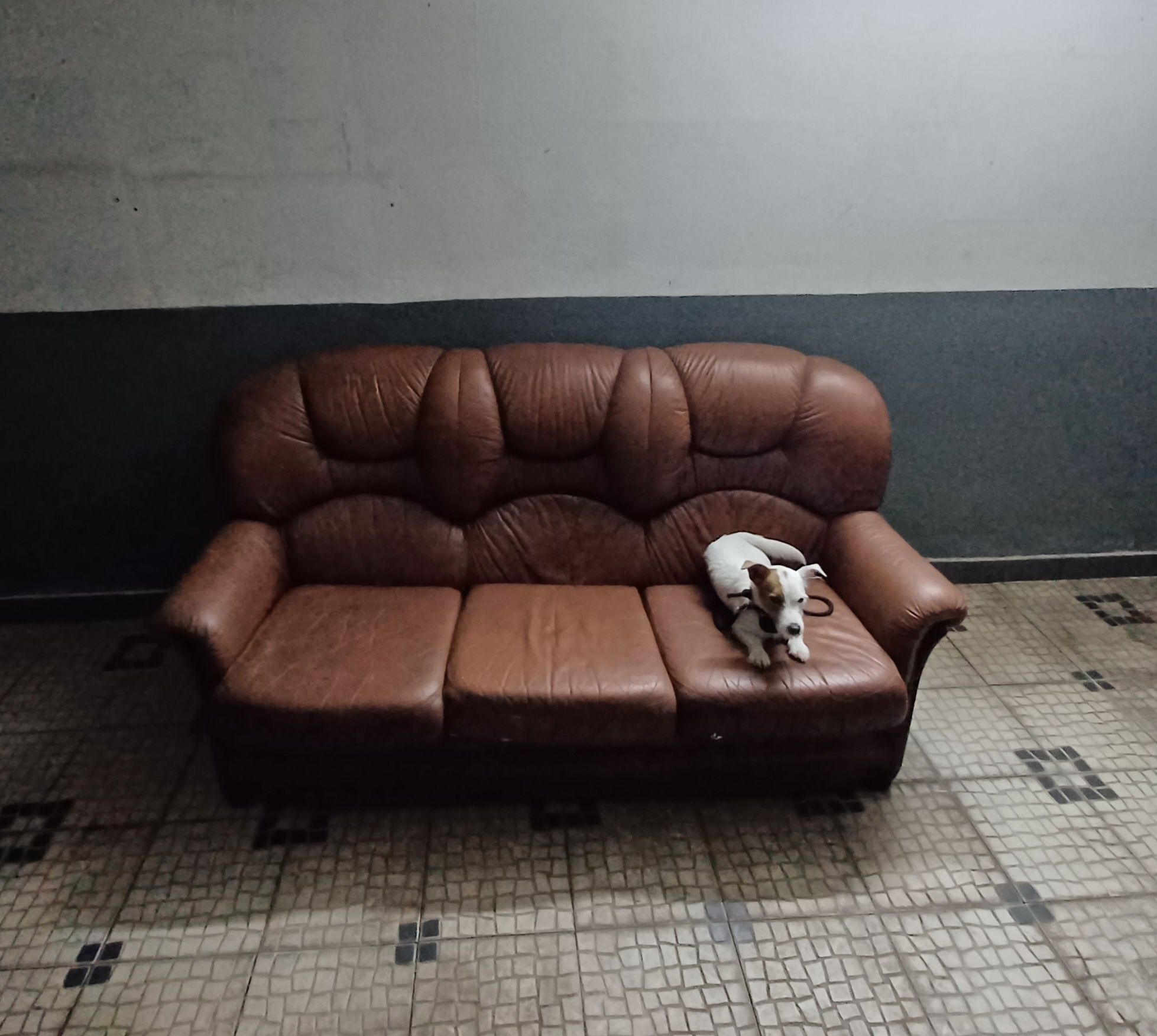 Sofá de sala confortável