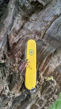 Victorinox Huntsman