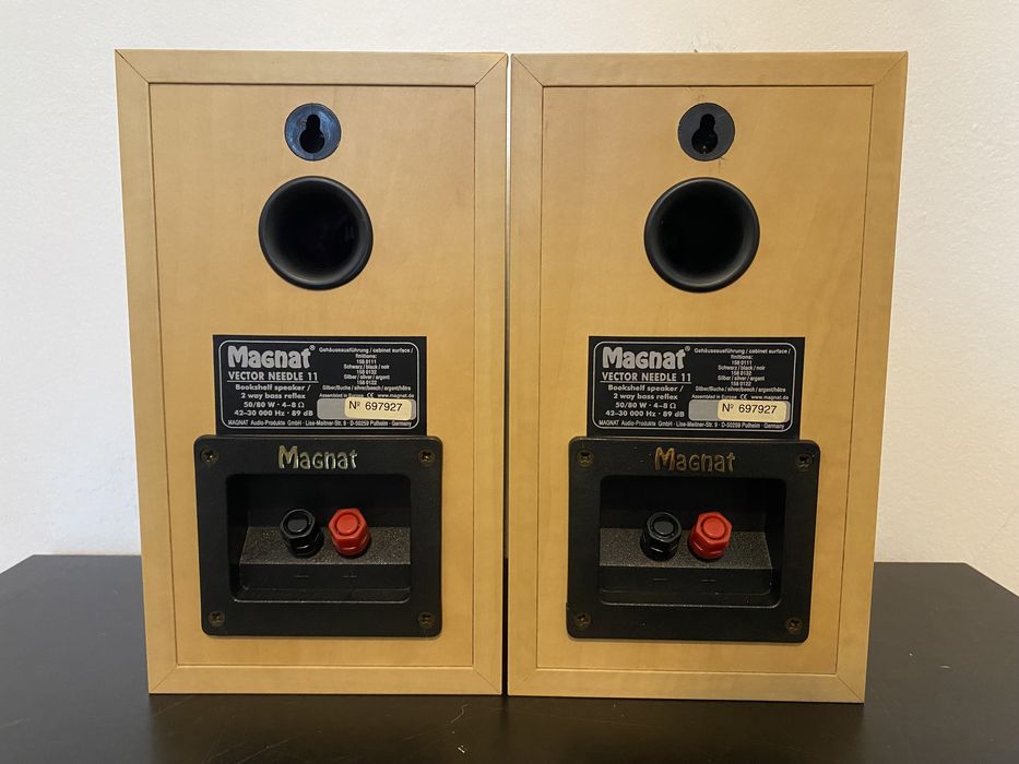 Акустика колонки Magnat Vector Needle